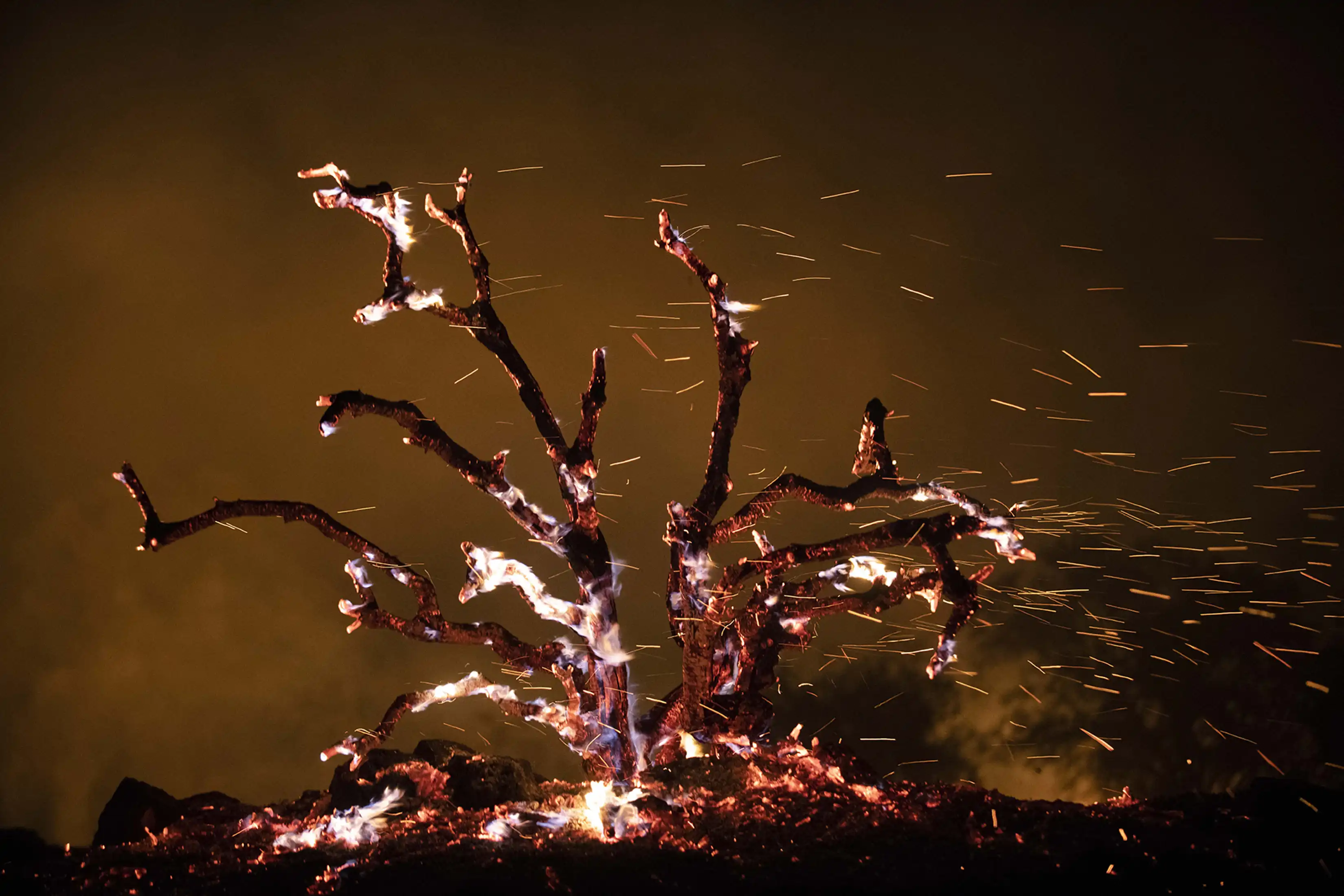 Night of Fire photograph 06
